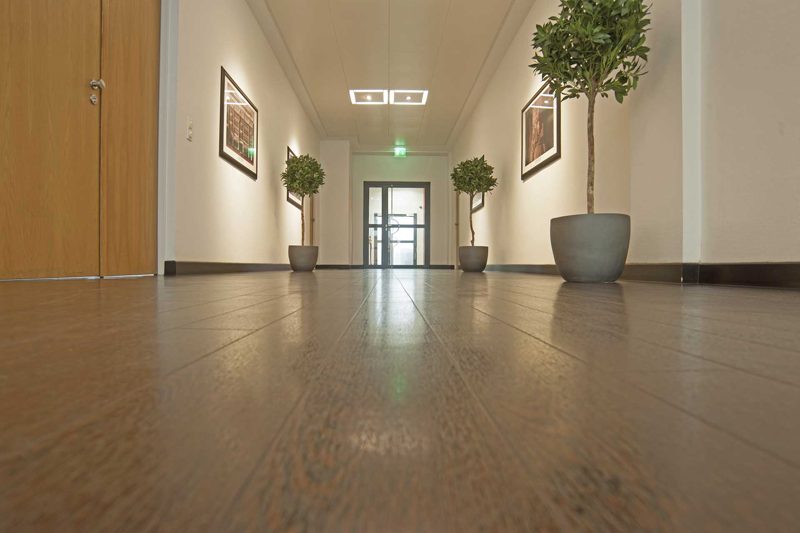 Bürogang mit Holzboden und Bäumchen in Pflanzkübeln