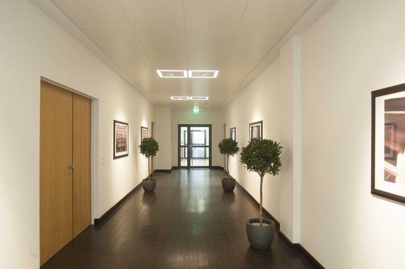 Langer Bürogang mit Bildern und Bäumchen in Pflanzkübeln